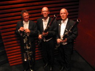 Photo of the bassoon section of the ISO 2011